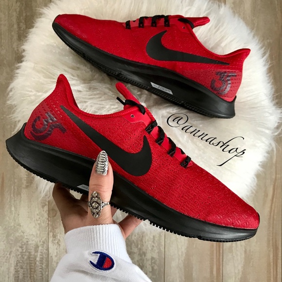 pegasus 35 custom